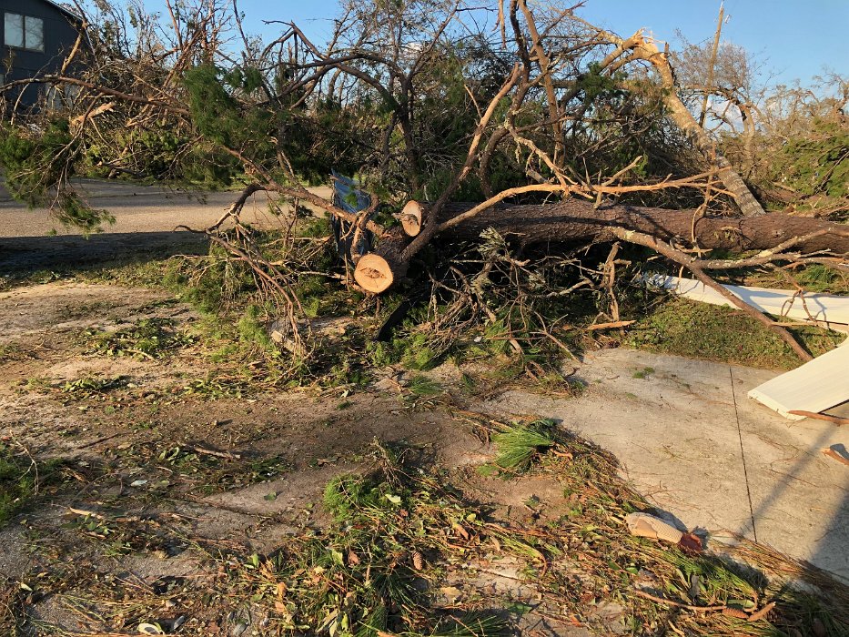 005-Looking across Bay St.jpg